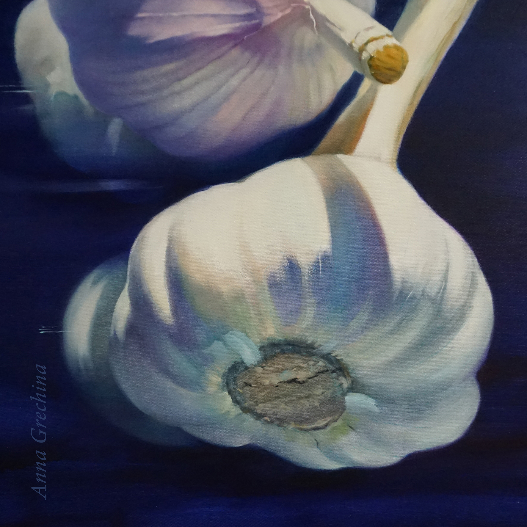 "Family in the Universe". Still life with garlic, hyperrealism, painting. Artist Anna Grechina.