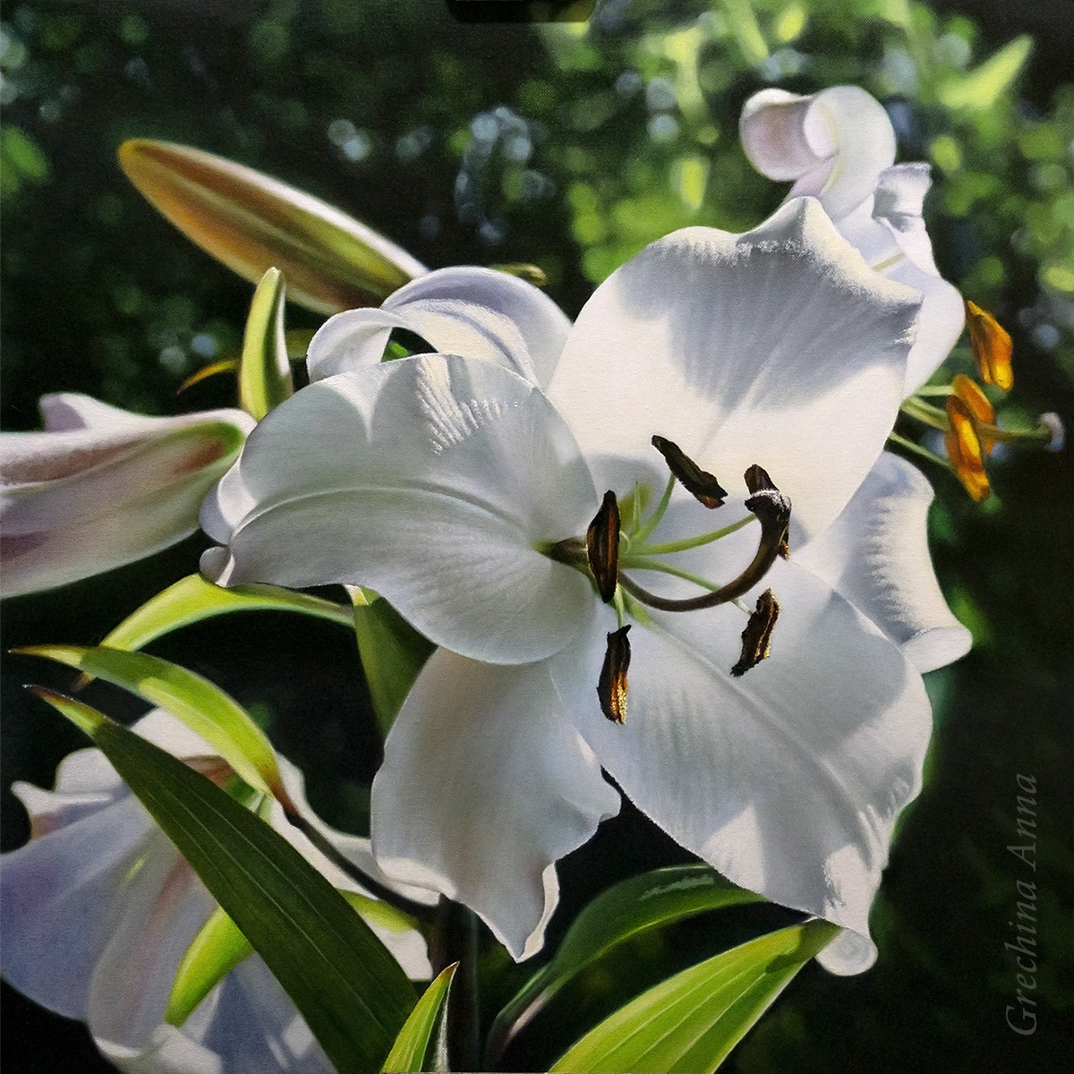 Photorealism, painting. Painting with a white lily. Artist Anna Grechina.