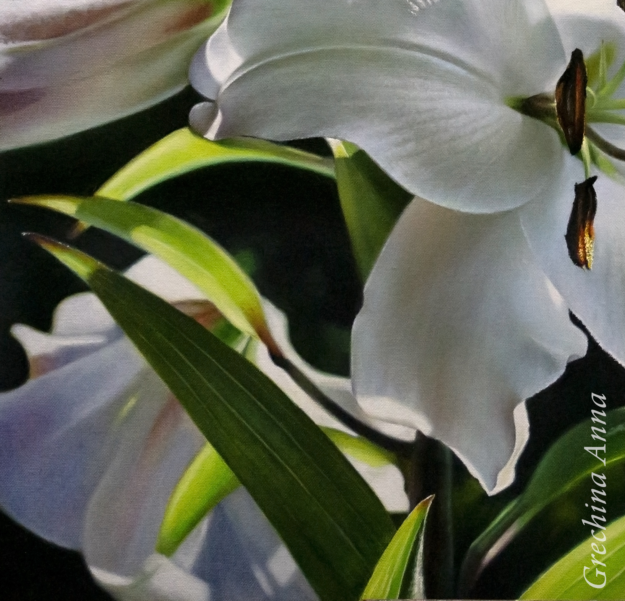 Photorealism, painting. Painting with a white lily. Artist Anna Grechina.