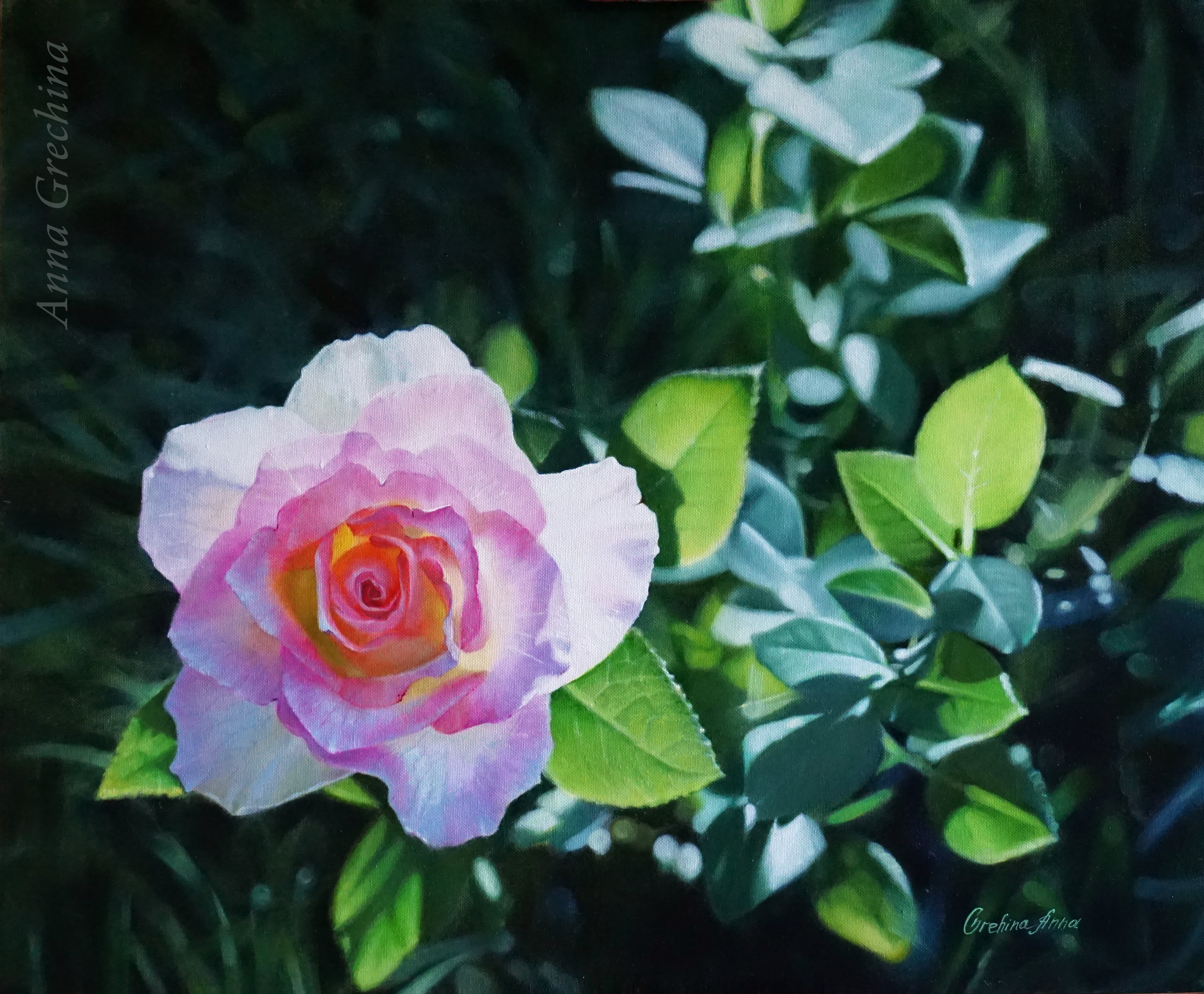 Still life with a rose in the garden. Painting, photorealism. Artist Anna Grechina.